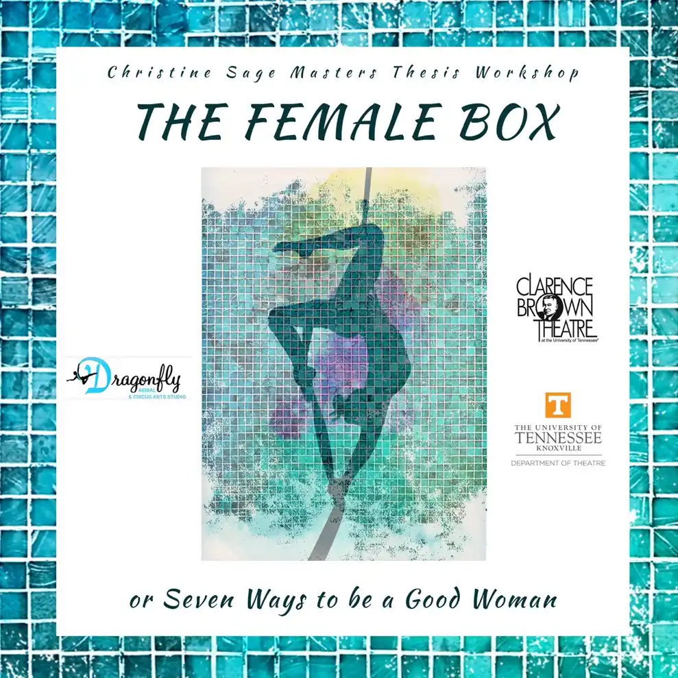 The Female Box Poster